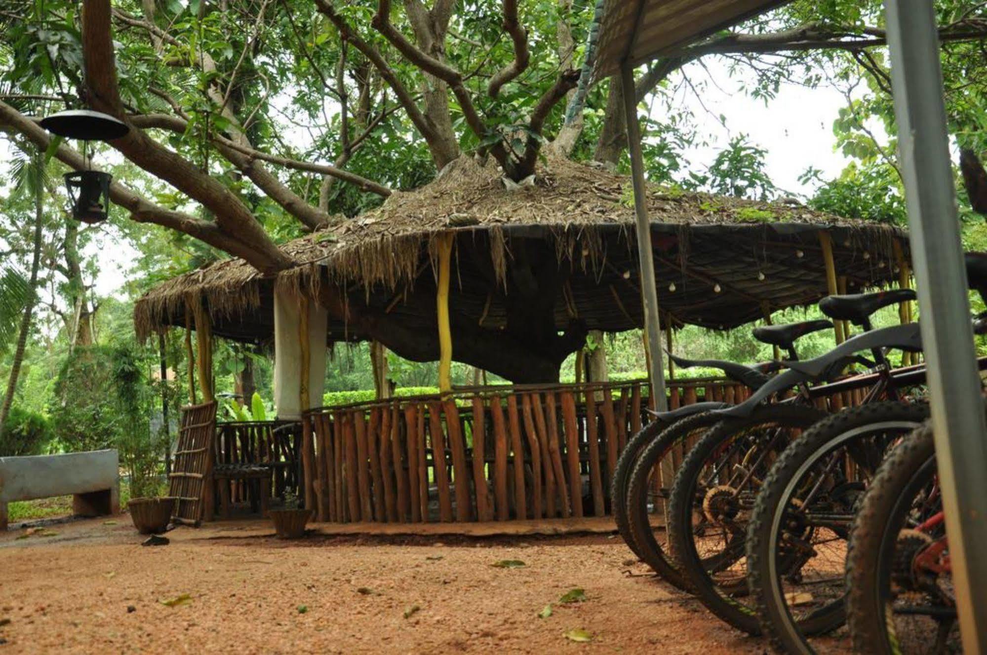 Sujatha Tourist Rest Hotel Dambulla Bagian luar foto